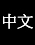 中文